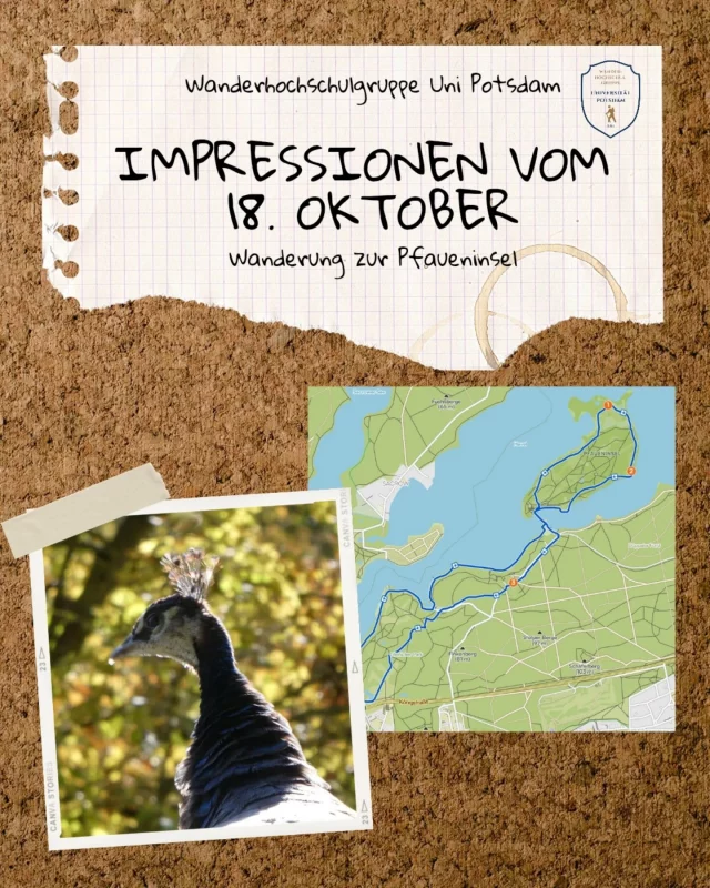 Bei bestem Wetter haben wir die herbstliche Natur entlang der Havel genossen und die Pfaueninsel samt ihrer Tierwelt einmal umrundet. 🍁🦚
Aber wie wir wissen, ist nach der Wanderung vor der Wanderung. Wir freuen uns auf die nächsten Touren mit euch.

Euer Vorstand ✨️

---------------------------
(english version)

​In perfect weather, we enjoyed the autumnal nature along the Havel and circled Peacock Island (Pfaueninsel) with all its wildlife. 🍁🦚
​But as we know, after one hike comes the next. We look forward to our upcoming tours with you!

Your club committee ✨️