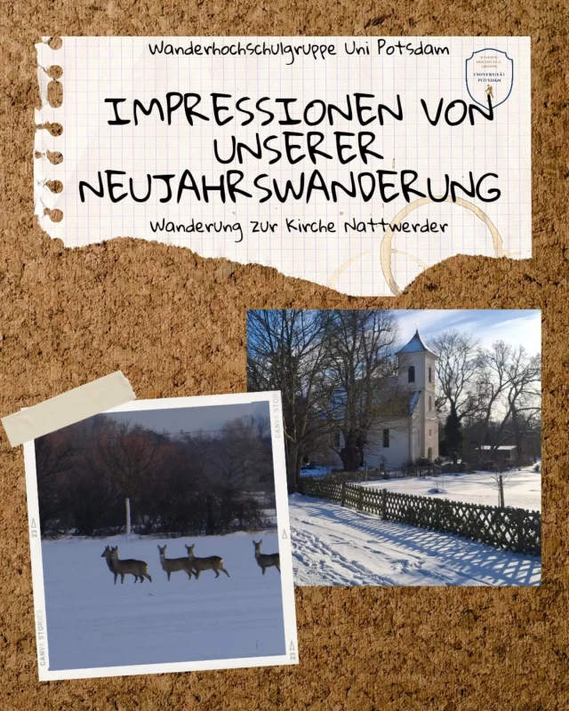 Unsere diesjährige Neujahrswanderung führte uns durch die winterlichen Landschaften hinter Golm. Verwehte Wege, glitzernde Felder und Rehe in der Ferne brachten etwas Magie in den kalten Januartag. ❄️
Trotz eisiger Kälte haben wir die wunderschöne Wanderung genossen und konnten sogar ein paar neue Gesichter kennenlernen.

Wir freuen uns auf die nächste Wanderung. 

Bis bald
Euer Vorstand ✨️

---------------------------- 
(english version)

This year's New Year’s hike took us through the wintry landscapes behind Golm. Snow-swept paths, glistening fields, and deer in the distance brought a touch of magic to the cold January day. ❄️
Despite the freezing temperature, we enjoyed the beautiful hike and even got to meet a few new faces.

​We are already looking forward to the next hike.

​See you soon
Your Board ✨️